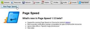 run Google Chrome PageSpeed