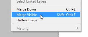 use merge visible in photoshop cs5 to merge all of your layers
