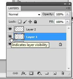 how to hide a layer in photoshop cs5