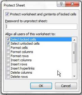set password for excel 2010 sheet