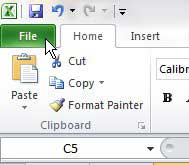 click the excel 2010 file tab