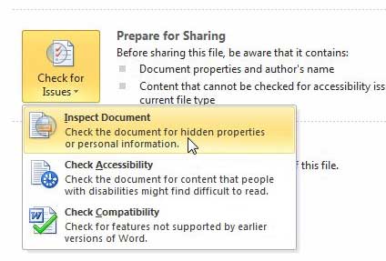 inspect the word 2010 document