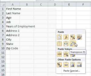 switch a row to a column in Excel 2010