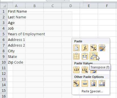switch a row to a column in Excel 2010