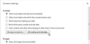 how to delete individual cookies in google chrome