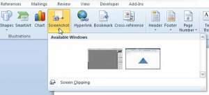 take a screenshot in Word 2010