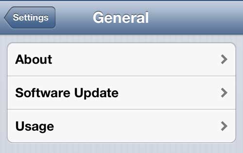 Open the iPhone Usage menu
