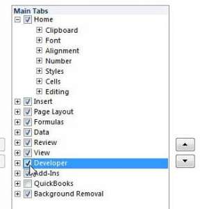 how to show the developer tab in excel 2010