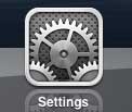 tap the iPad settings icon