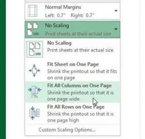 Select the Fit all Columns on One Page option