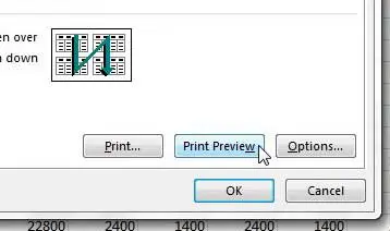 click the print preview button