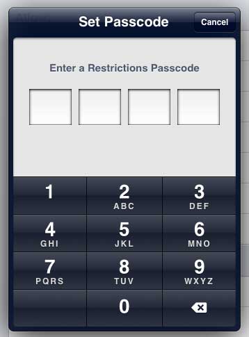 create a restrictions password