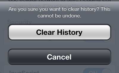 Confirm that you want to clear your history