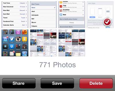 Select the pictures to delete, the press the red Delete button