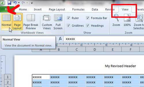 return to the normal excel view