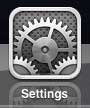tap the ipad 2 settings icon