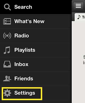 open the spotify settings menu