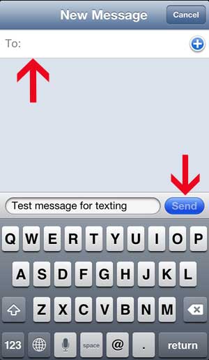 send the text message