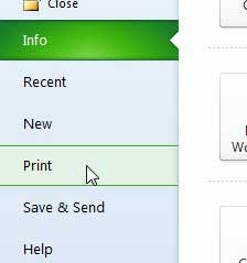 select the print option