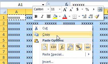 how to paste as a picture in Excel 2010