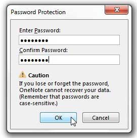 enter and confirm your password