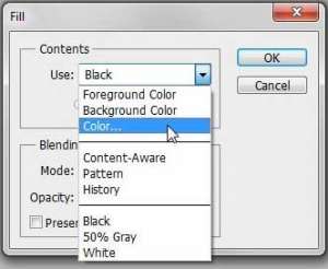 how to fill a selection in photoshop cs5