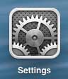 open the iPad settings menu