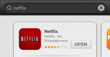 open the installed netflix app