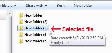 example of a selected file or folder