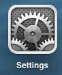 open the ipad 2 settings menu