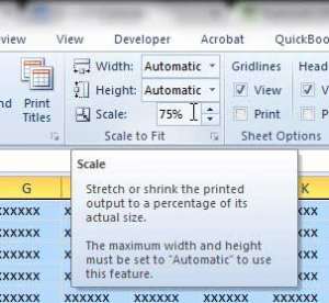 how to scale a page in excel 2010
