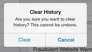 how to clear the safari history on the ipad