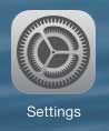 open the ipad settings menu