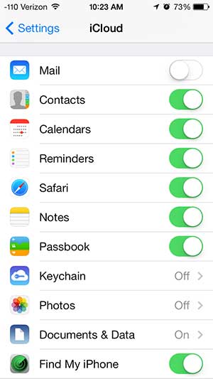 turn on the icloud options that you want to use