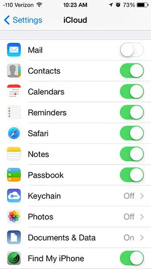 turn on the icloud options that you want to use