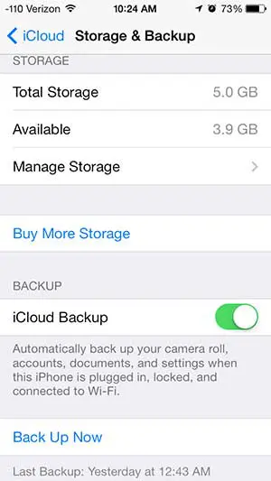 turn on the icloud backup setting