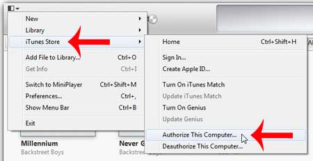 click iTunes Store, then click Authorize this Computer