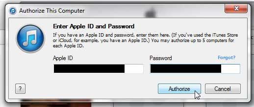 enter your Apple ID credentials, then click Authorize