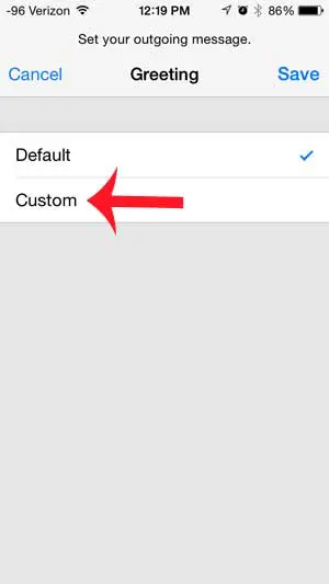 select the custom option