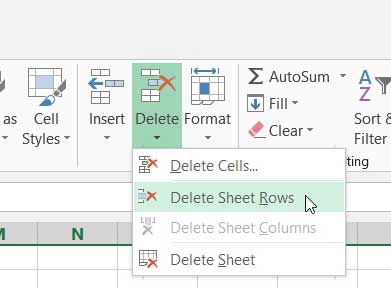 click the delete sheet rows option