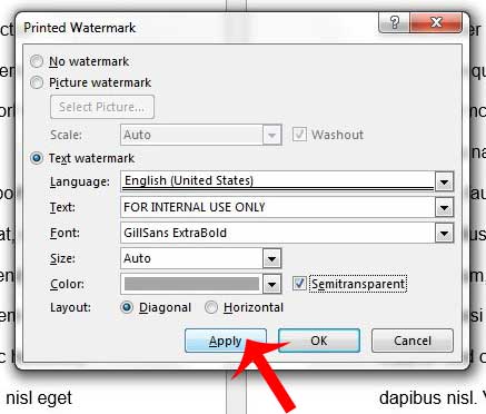select your font options for the watermark, then click the apply button