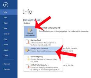 how to password protect a Word 2013 document