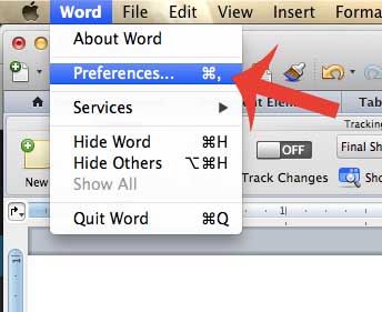 click word, then click preferences