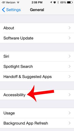 open the accessibility menu