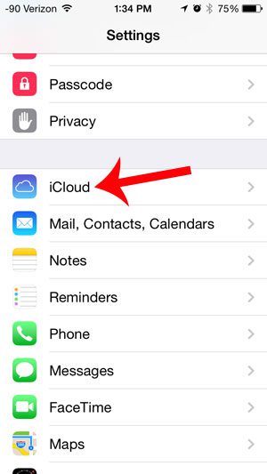 select the icloud option