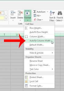 click the autofit column width option