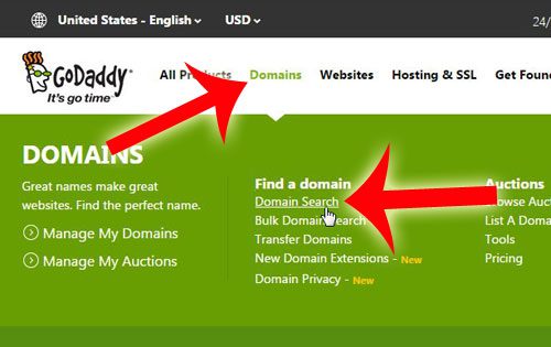 go to godaddy's domain search