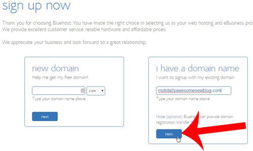 enter your domain name, then click next