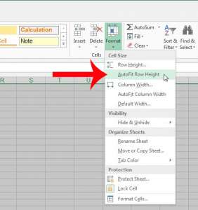 click format, then autofit row height