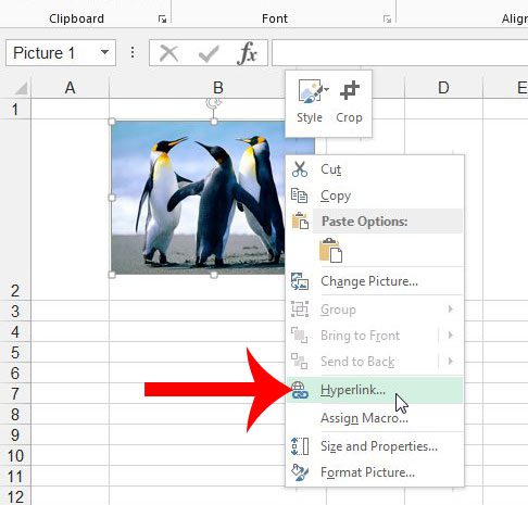 right-click the picture, then click hyperlink